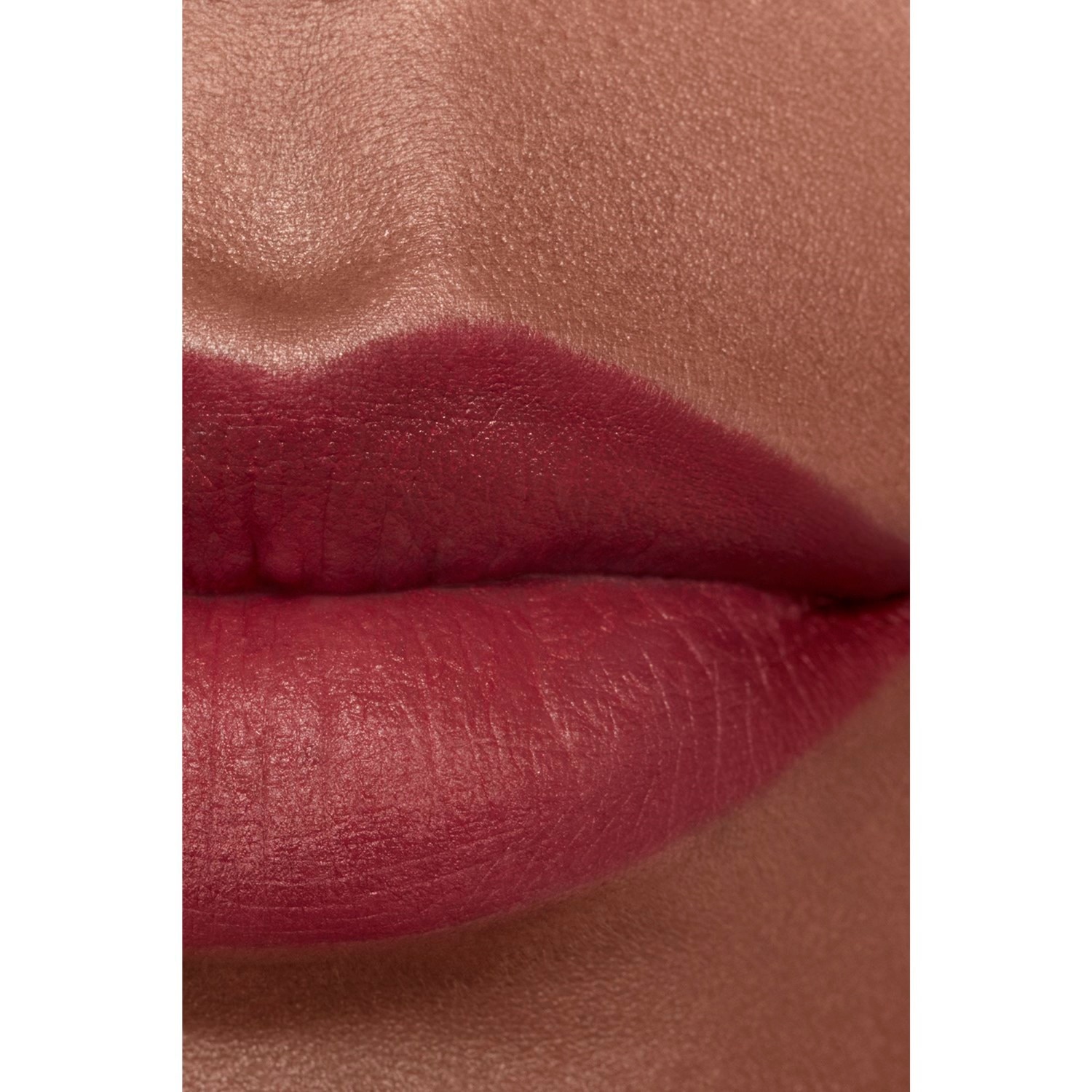 LA BARRA DE LABIOS ATERCIOPELADA LUMINOSA
